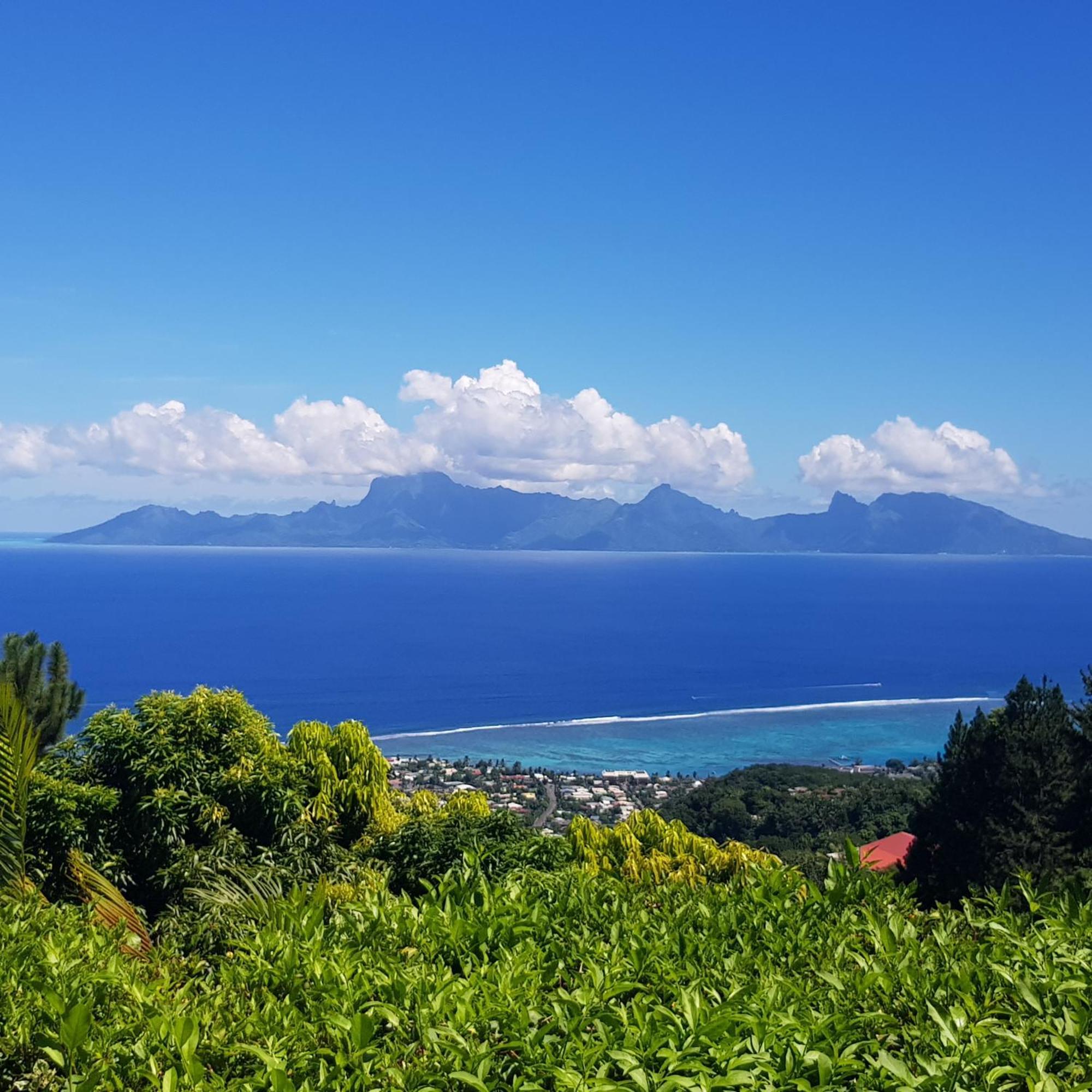 Villa Lodge - Bas De Villa Avec Piscine Et Vue Ocean Et Moorea Punaauia  Exterior foto